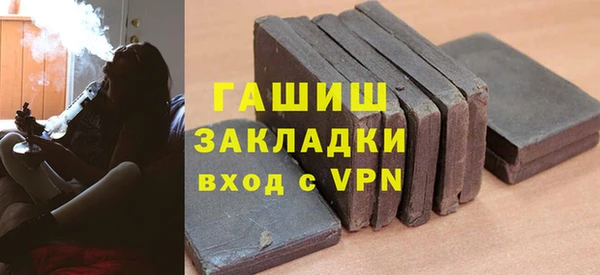 индика Белокуриха