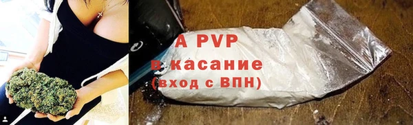 индика Белокуриха