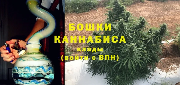 гидра Белоозёрский