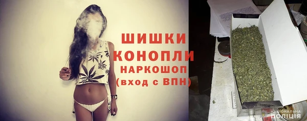 индика Белокуриха