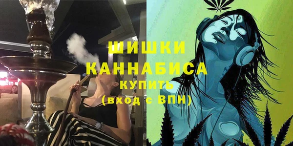 индика Белокуриха