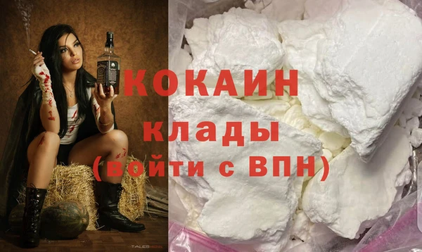 гидра Белоозёрский