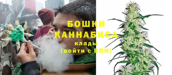 индика Белокуриха