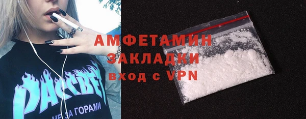 индика Белокуриха