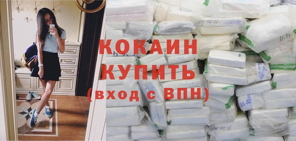 индика Белокуриха