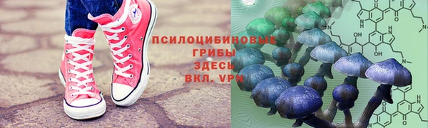 индика Белокуриха