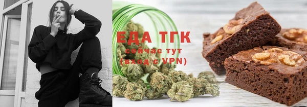 индика Белокуриха