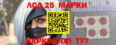 a pvp Можга