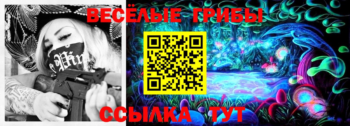 Галлюциногенные грибы прущие грибы  Вход с VPN  Галлюциногенные грибы Psilocybine cubensis  Богданович 
